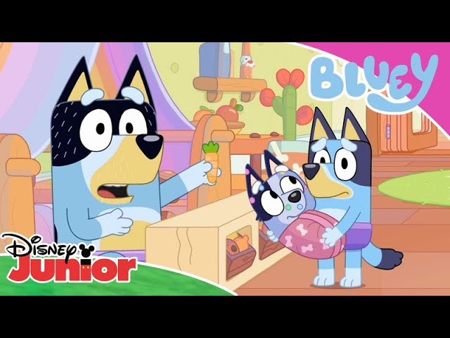 Purple Underpants? 💜 | Bluey 💙 | Disney Junior Arabia img