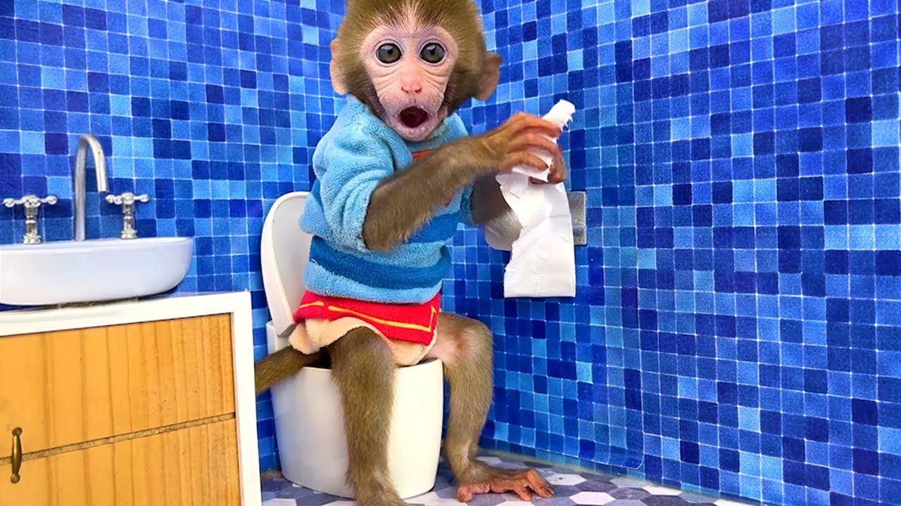 Monkey Baby Bon Bon in the Room Cleaning Challengeand goes to the toilet img